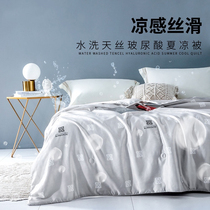  ALEX summer ice silk summer cool quilt hyaluronic acid air conditioning quilt thin washable single quilt double thin quilt quilt core