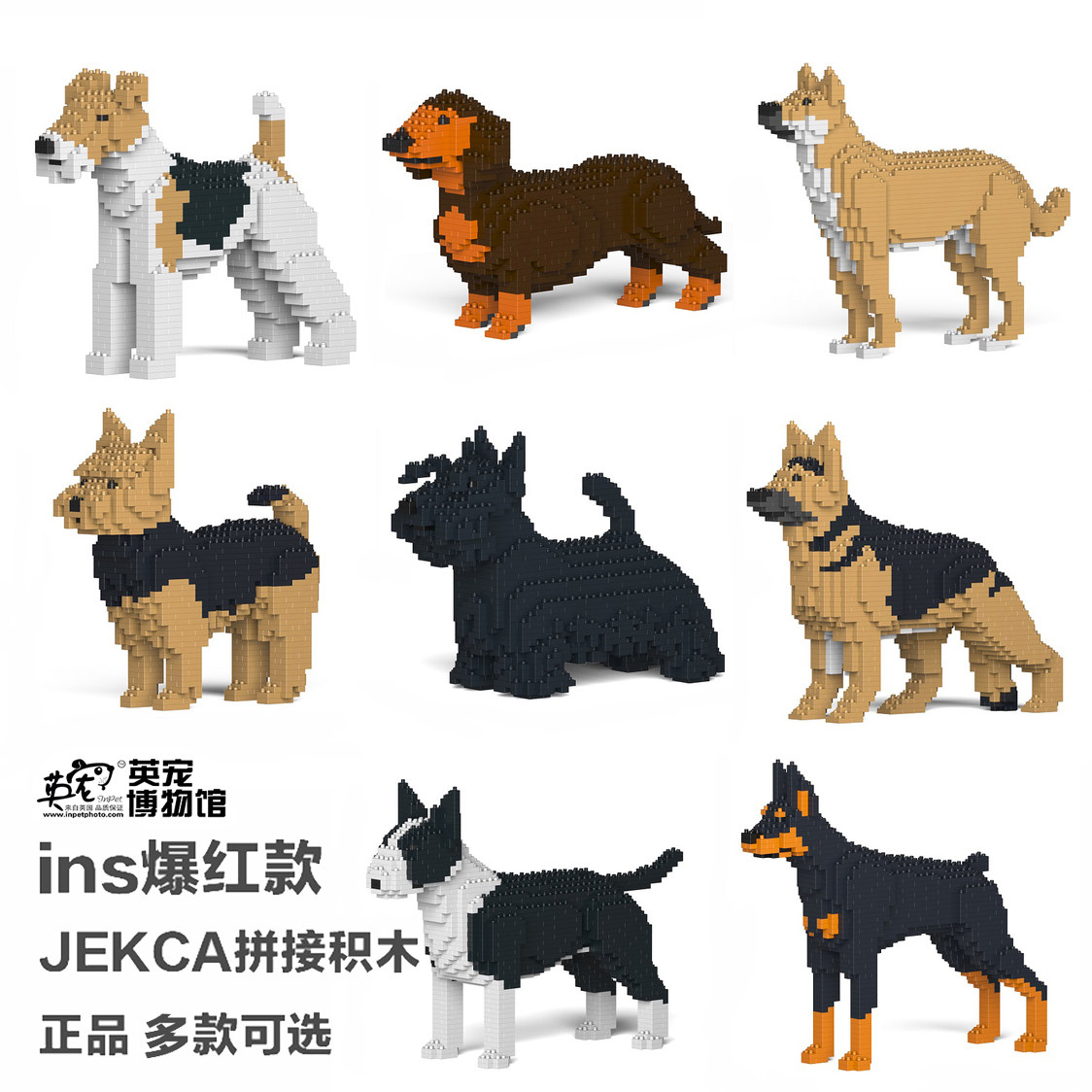 Yorkshire Fox Hunting Doberman Bull Head Springer Pastoral German Shepherd Dachshund Scottish JEKCA Spelling Block Dog