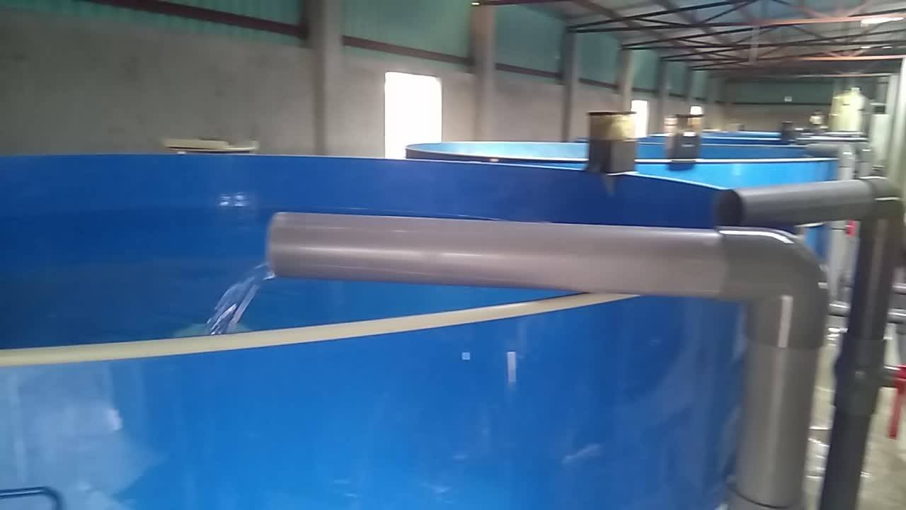 Ras Fish Farming Equipment High Density Fish Farming Solution For Jade