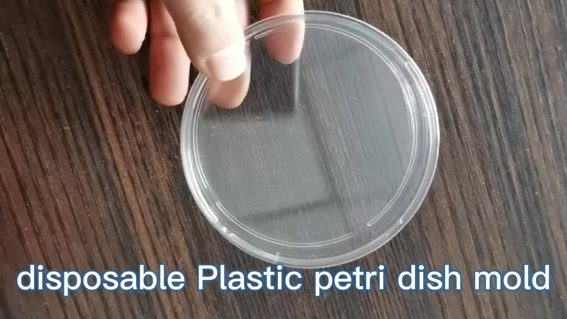 90ml Glass Petri Dishes Plastic Bacteria Culture Injection Plastic