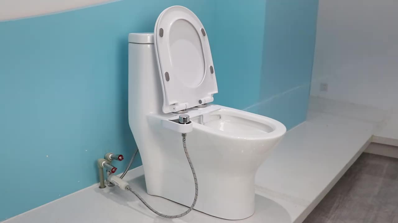 Flush o matic 707 Р±РёРґРµ