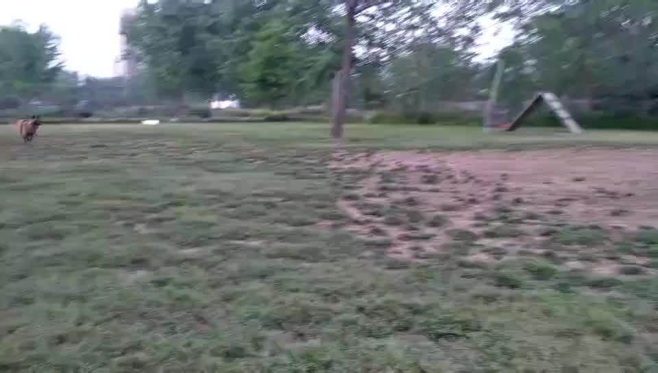 Jute Intermediate Dog Bite Leg Sleeve Arm Protection For K9 German Shepherd,Durable Dog Bite