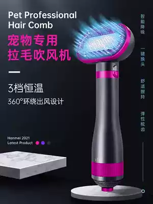 Teddy hair dryer pulling hair one Pet hair dryer Pulling hair one Small dog Cat special teddy bear dog