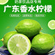 广东无籽香水柠檬0668的LOGO