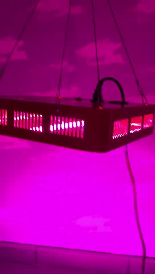 Microgreens S4 Veg/bloom Switch 840w Cheap Led Grow Lights Buy Plant