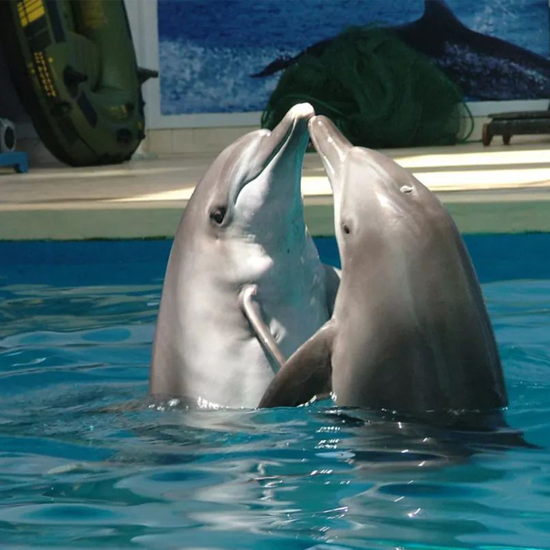 泰州出发的跟团游怎么选？2025年最新避坑指南来了！