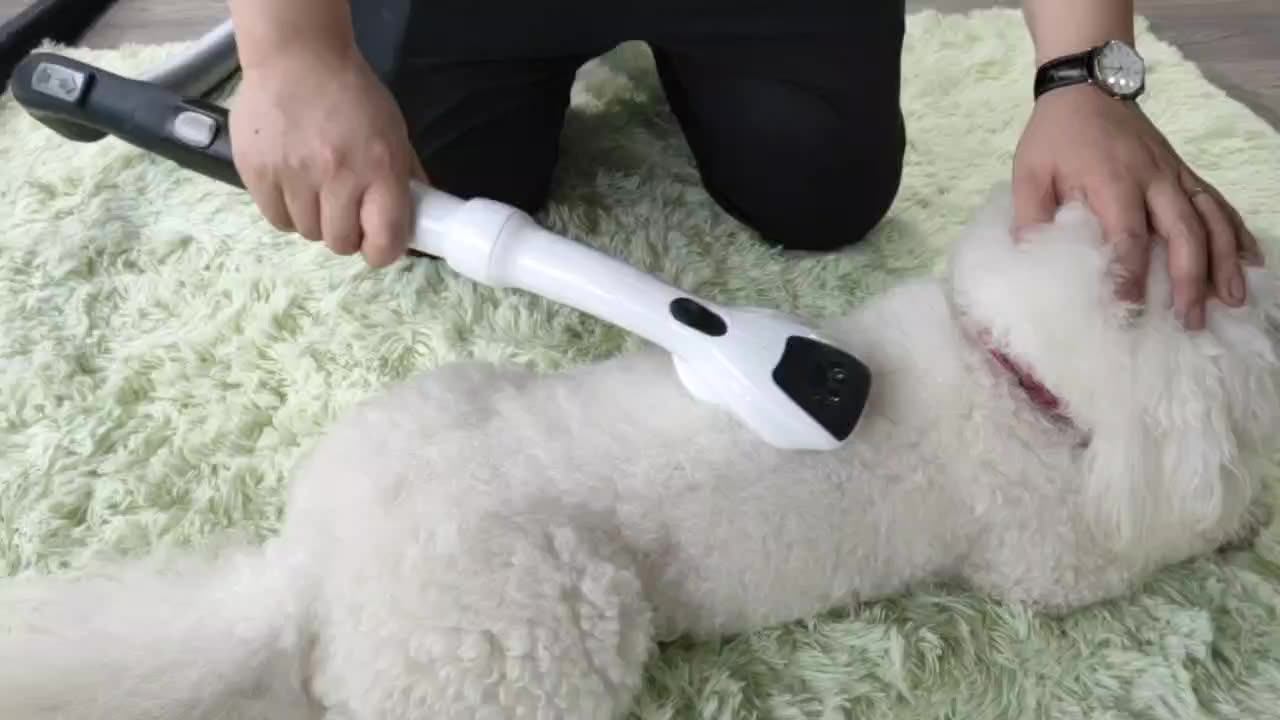 Dysons Vacuum Cleaner V7 V8 V10 V11 V12 V15 Pet Brush Head Hose Pipe