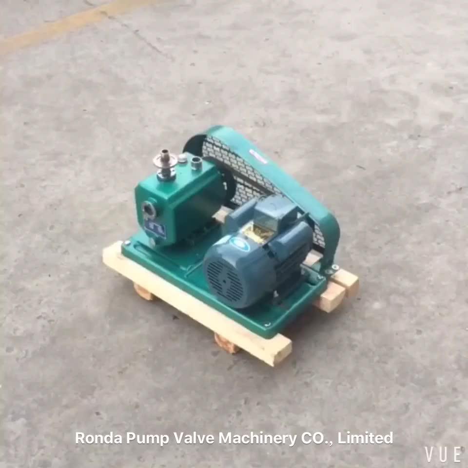 2x Double Stage Rotary Vane Vacuum Pump For Vacuum Coating Buy Vacuum