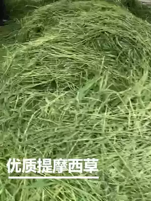 Timothy Hay 2021 New Pasture Rabbit Grain Chinatelia Pig Feed Guinea Pig Grass 500g