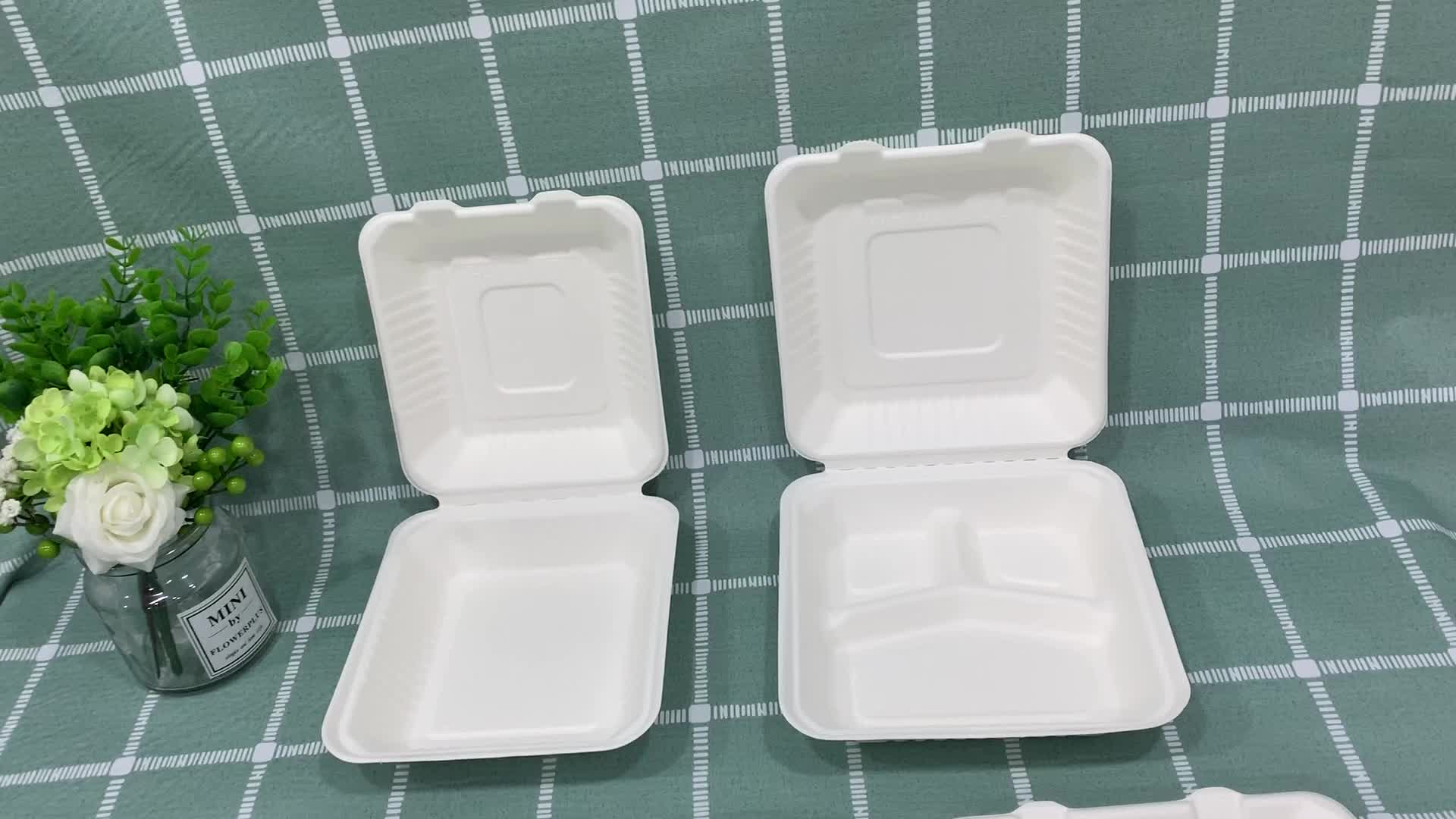 Download Eco Friendly Bagasse Paper Clamshell Packaging /retail Packaging - Buy Biodegradable Clamshell ...