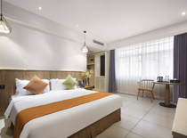 Sanya Baosheng Seaview Hotel Chenxuan Warm Double Room