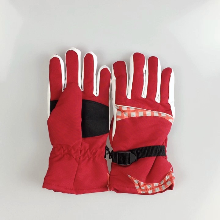 Skiing Gloves / Waterproof Windproof Warmest Winter Snow Snowboard