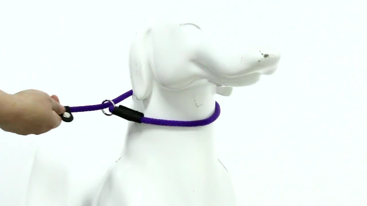 Anti Pull Round Fabric Polypropylene Pp Nylon Dog Martingale Slip Lead