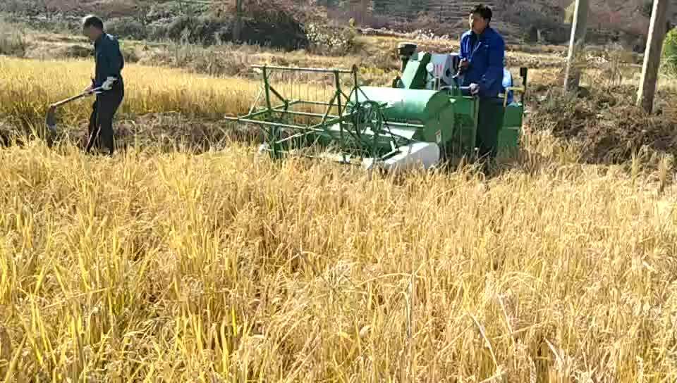 Rice Harvester Combine Harvester Buy Rice Harvester