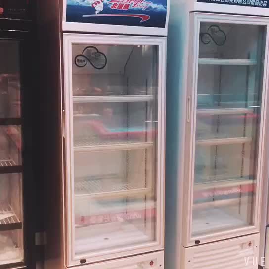 400l To 1200l Commercial Double Door Upright Refrigerator Showcase