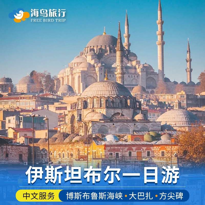 One-Day Tour to Hagia Sophia Church and Bosphorus Strait in Istanbul, Turkey, with a Chinese-Speaking Local Guide and Private Car