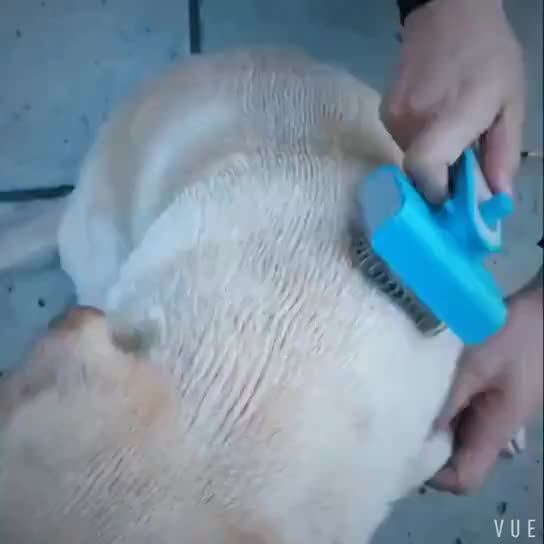 Self Cleaning Pet Grooming Hair Dog Brush Wire Dog Brush Buy Double