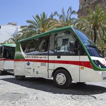 Granada Spain Travel Granada Hop-On Hop-Off Train and Minibus All-in-One Card Ticket for 2 and 1 Days