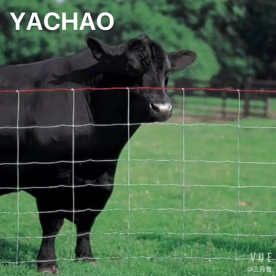 Hot Dip Galvanized Fixed Knot Woven Wire Deer Farm Fence Field Fence