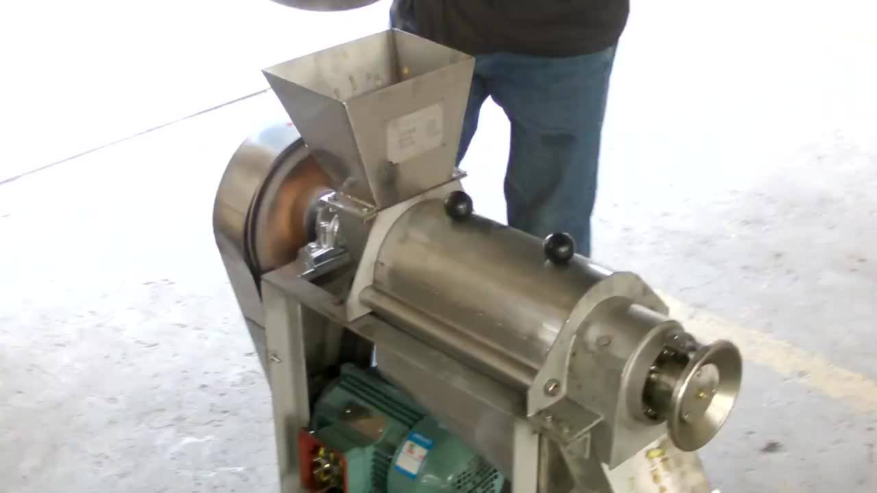 2022 Commercial Mango Fruit Juicer Extractor Automatic Cold Press