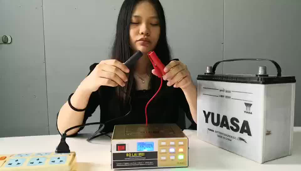 12v24v 10a Full Function Manual And Automatic Switch Battery Charger