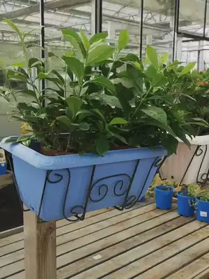 Rectangular flowerpot hanger wrought iron balcony hanging railing window terrace wall vegetable growing box meat potted