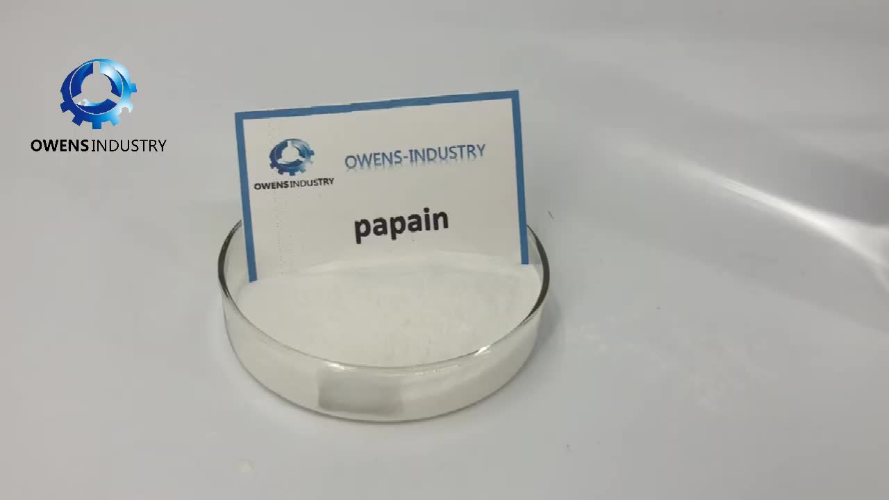 Papain Meat Tenderizer Extract Price Harga 9001734 Bulk Papain Enzyme