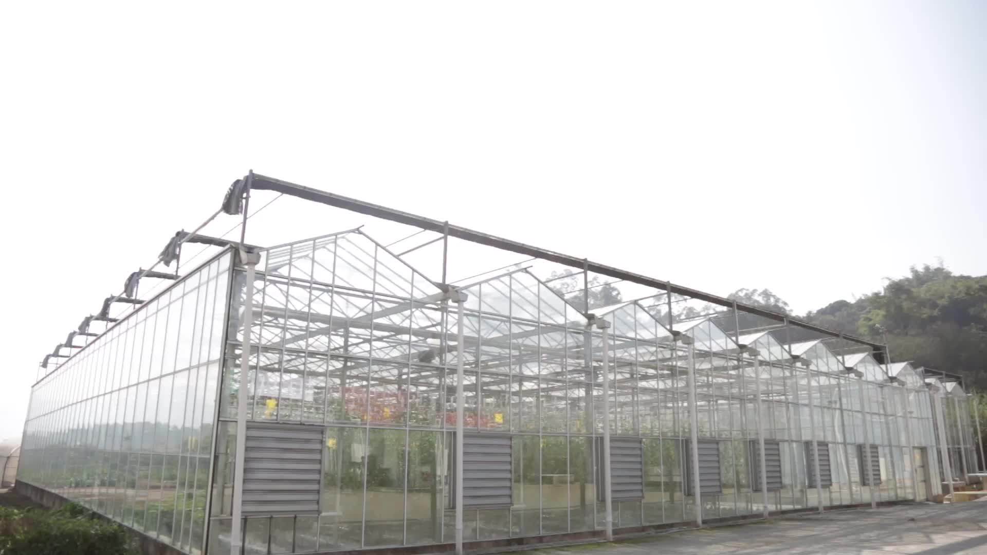 Venlo Glass Greenhouse Agriculture Hydroponics For Farm Buy