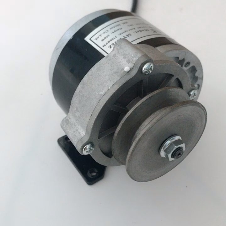 2019 New High Speed 250w 12v Decelerating Dc Brush Motor Gear Motor