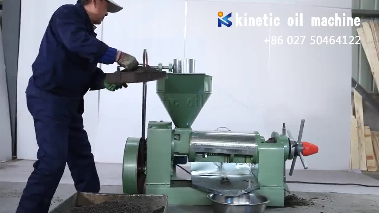 6yl95 Grain Processing Machinery Black Cumin Oil Extraction Machine