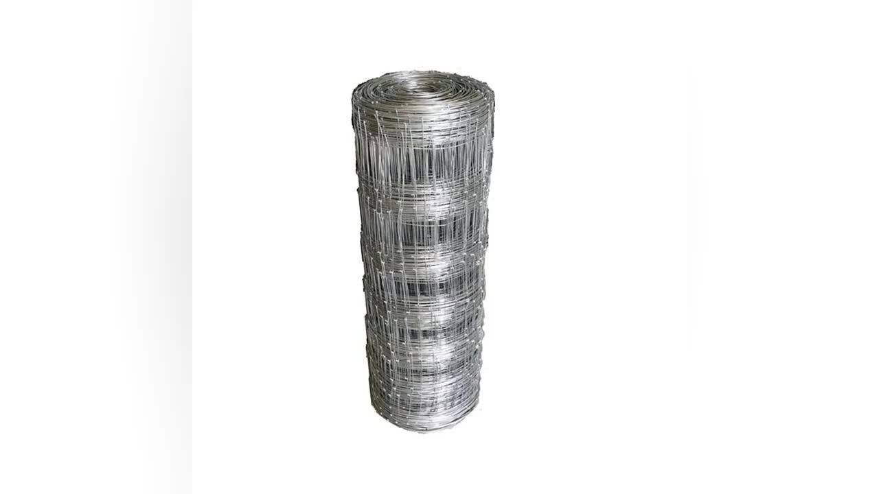 Concertina Wire/razor Barbed Wire(professional Manufacturer) - Buy ...