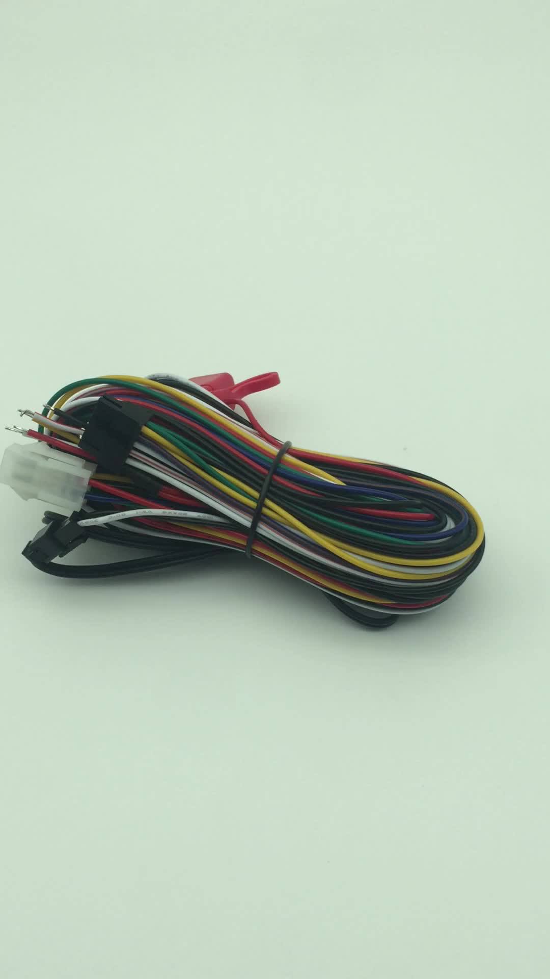Electric Vehicle Low Voltage Controller Oem/odm Custom Wire Harness