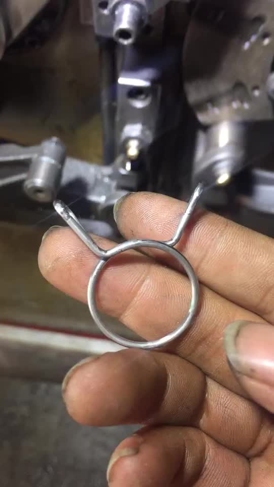 Custom Washing Machine Zinc Plated Steel Spring Load Type Squeeze Double Wire Formed Small Hose