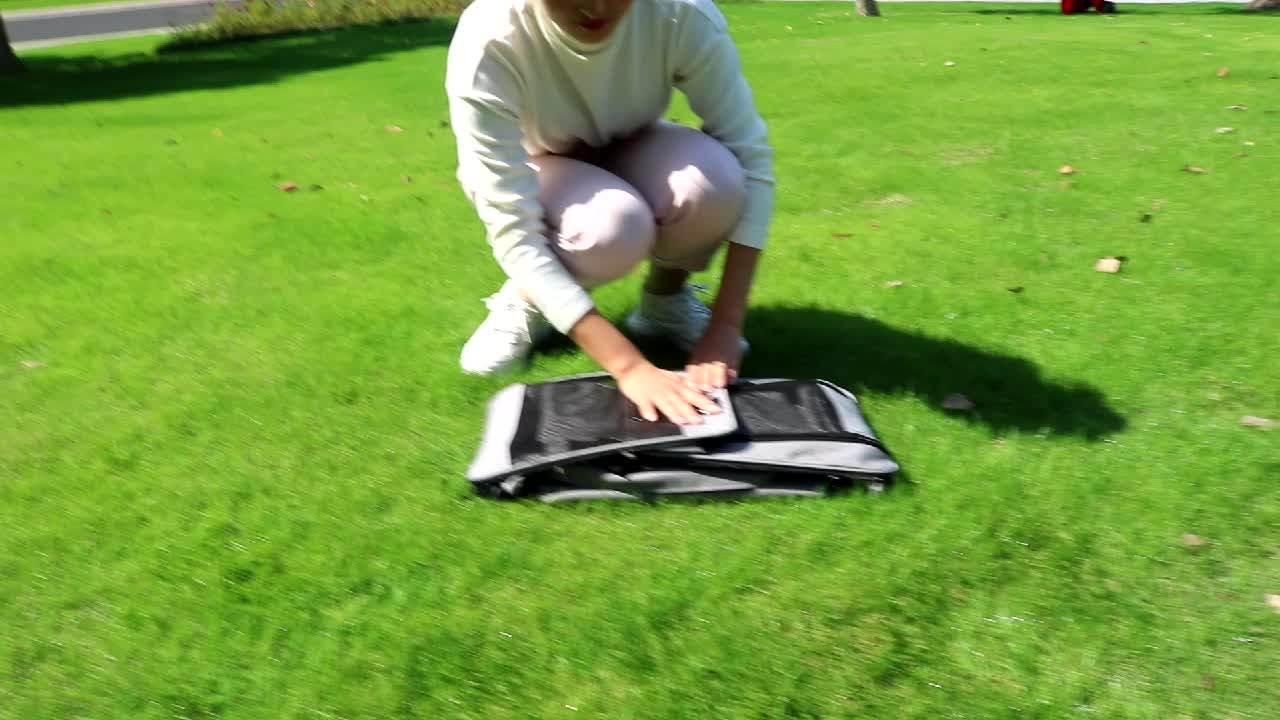 Wholesale Transport Multi Cat Carrier Dog Carrier Mesh Foldable Large