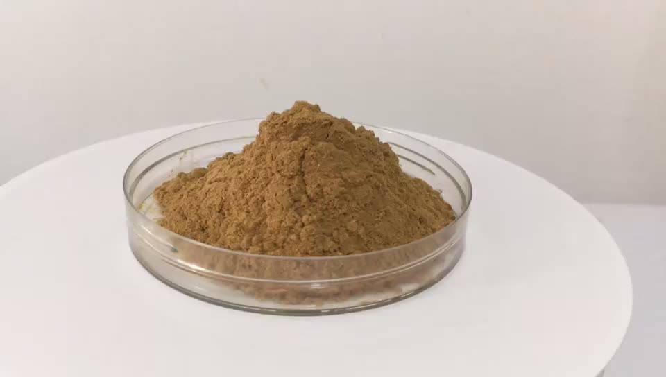 Shiitake Mushroom Extract Powder Ahcc Buy Shiitake Ahcc,Active Hexose