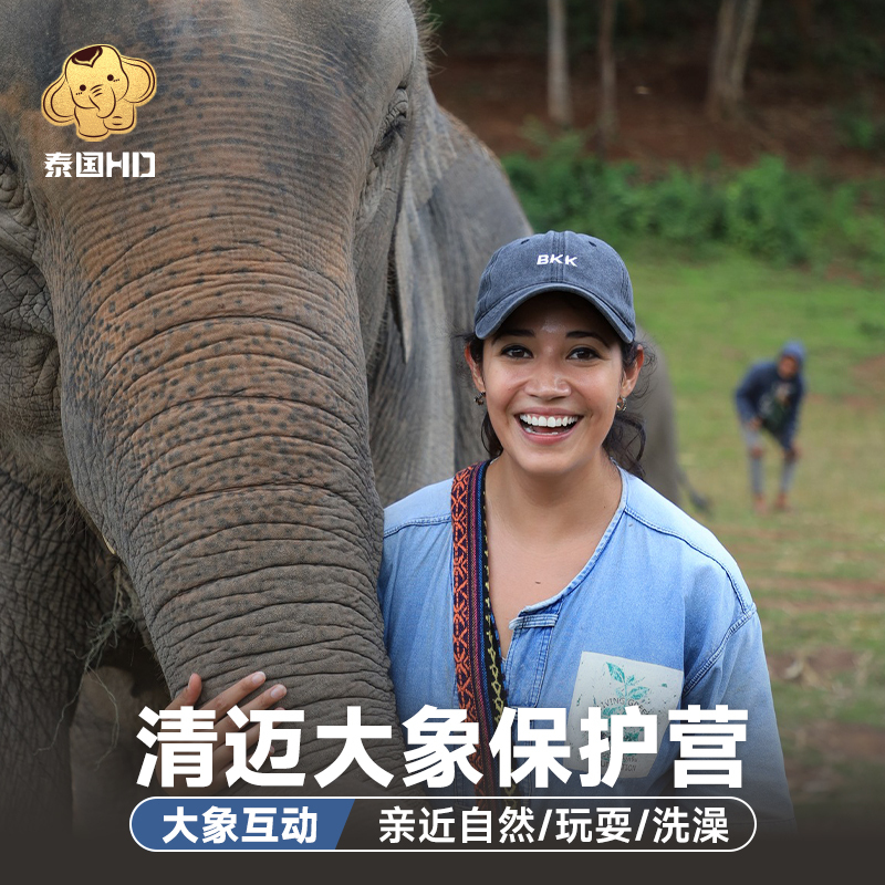 Chiang Mai Elephant Camp in Thailand Kc Kekao Secret Lg Sattian Chabrin Kanda Sticky Waterfall New Elephant Home Chiang Mai Elephant Camp in Thailand Kc Kekao Secret Lg Sattian Chabrin Kanda Sticky Waterfall New Elephant Home