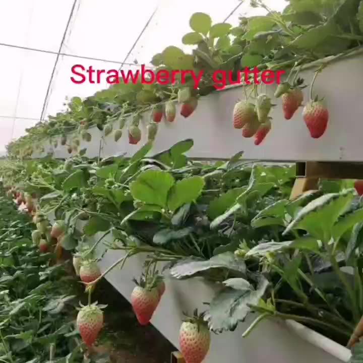 3 Layers Vertical Metal Rack Hydroponics Strawberry Pvc Trough For ...