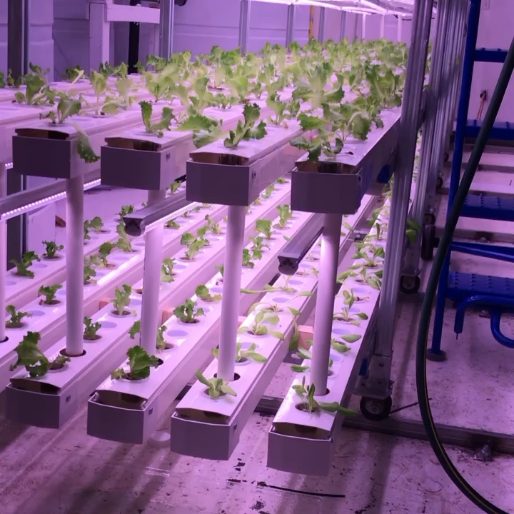 Nft Hydroponics Pvc Channel For Hydroponic Growing System Buy Nft