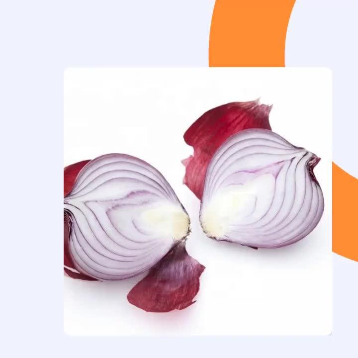 Wholesale Onion Manufacturers Onion Exporters Onion Buyers Buy Onion