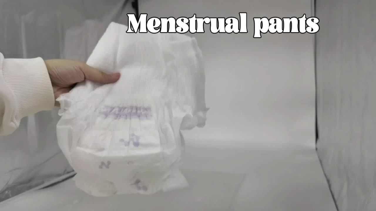 Sanitary Pants Female Care Menstrual Diaper Overnight Period Pants
