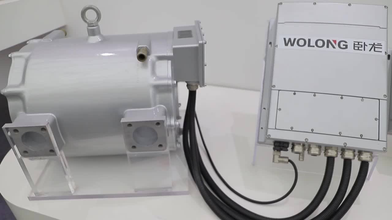 Wolong New Energy Electric Vehicle Permanent Motor Free Energy