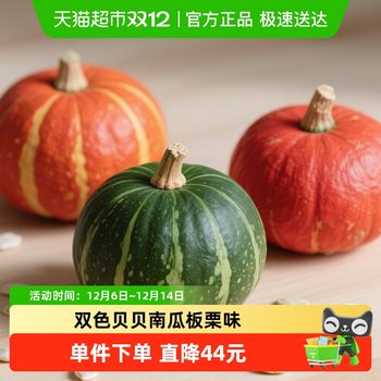 Hu xiansen fresh seasonal pumpkin