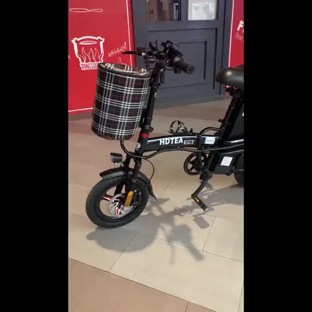 E Bike 48v 250w Folding Ebike Easy 