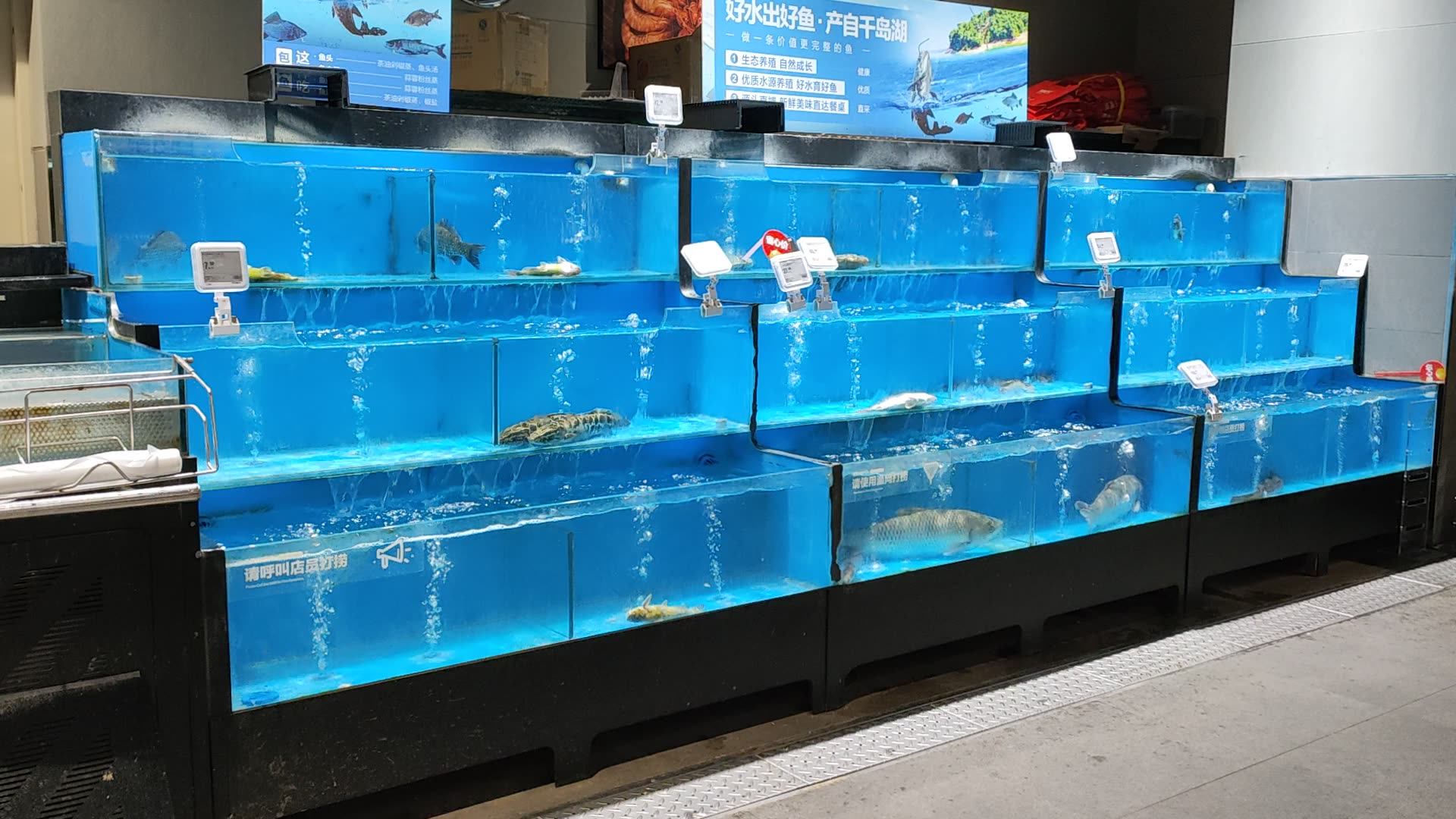 Hotel Live Fish Australia Lobster Seafood Glass Tank With Chiller And Protein Skimmer For