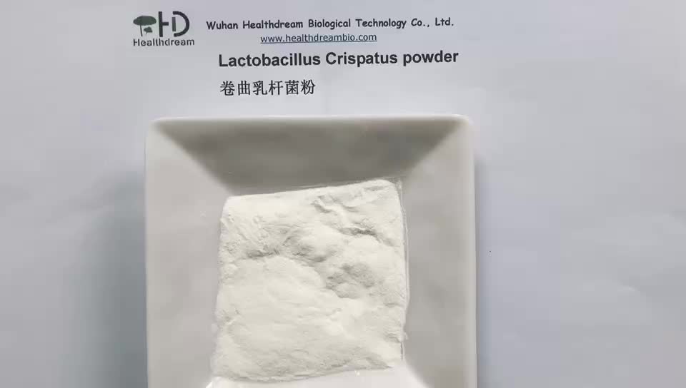 Lactobacillus Crispatus Powder,Probiotic Powder For Woman Health - Buy ...