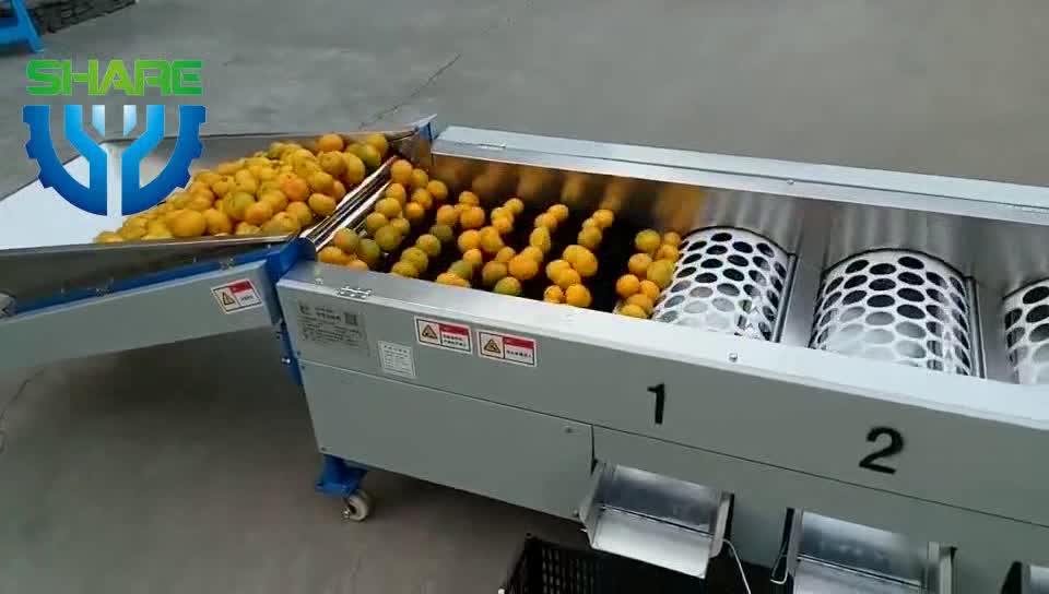 Orange Lemon Grading Machine Fruit Onion Size Sorting Machine For Sale