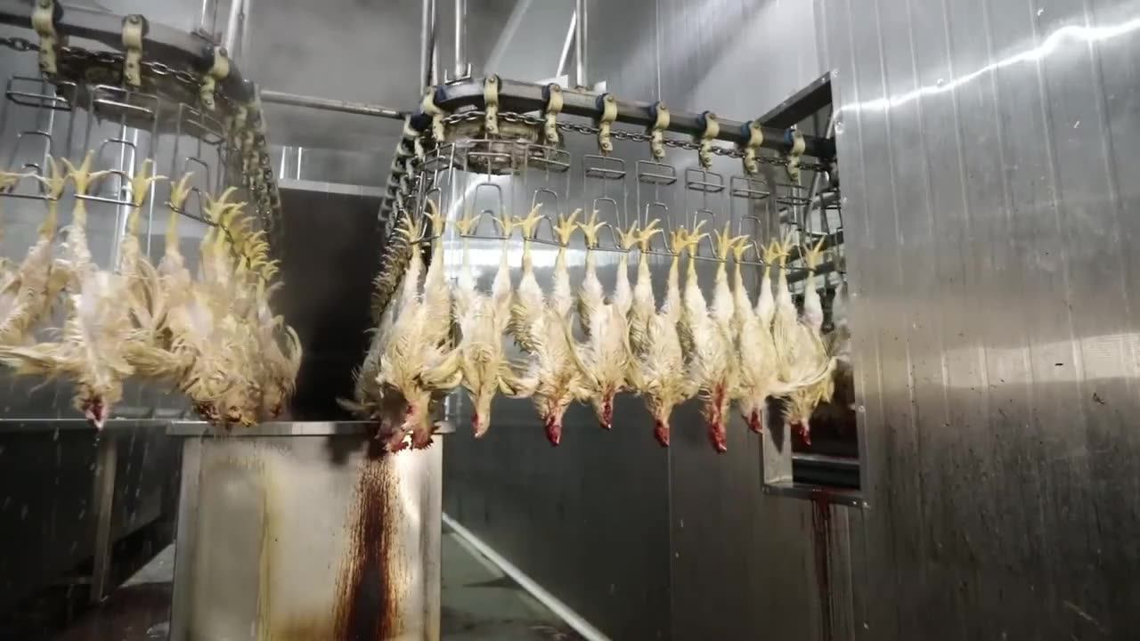 Large Spiral Screw Chiller / Prechiller Machine For Poultry Processing