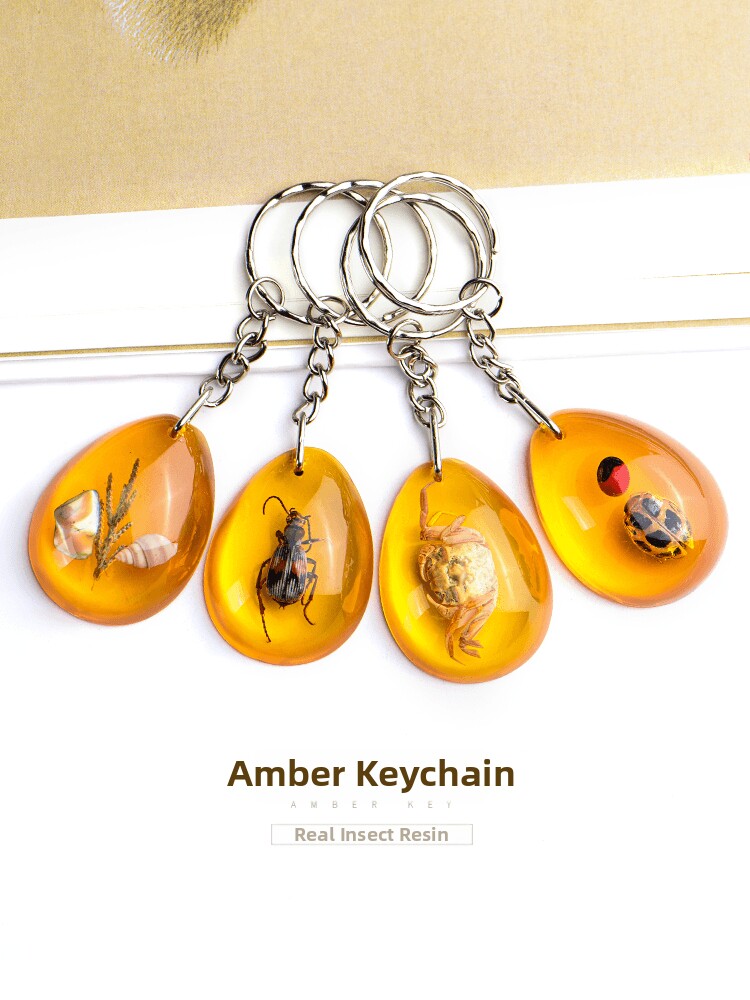 Real Insect Amber Keychain Car Pendant Insect Specimen Scorpion Butterfly Conch Personalized Ornament Creative Gift