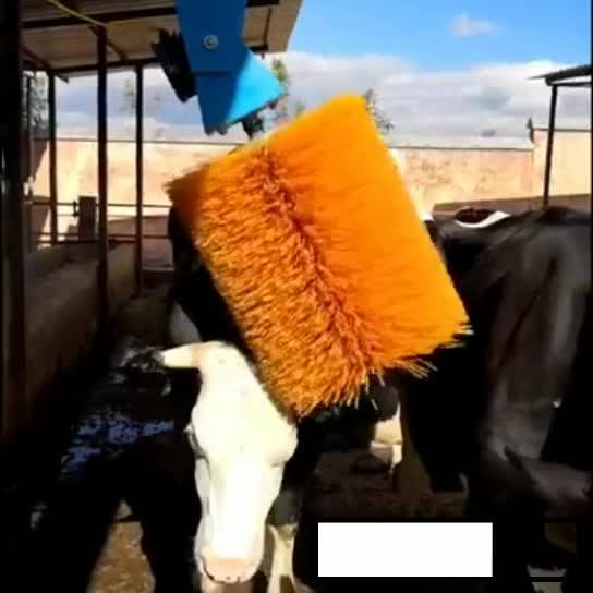Multi Styles Cow Brush For Dairy Farm Equipment Buy Cow Brush,Nylon