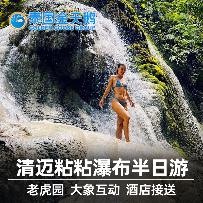 Thailand Golden Swan Chiang Mai Sticky Waterfall Half-Day Tour Elephant Coffee Poop Paper Tiger Park Private Car One-Day Tour